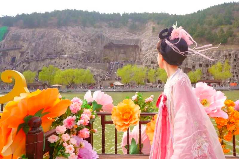  四月春季趋势：洛阳牡丹赏花季的避坑与深度游策略 文化旅游