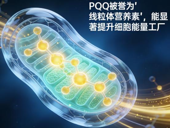  十年抗衰成分研究：深扒胶原蛋白肽行业底层逻辑与靠谱品牌筛选法则 健康养生