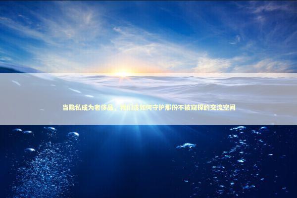 当隐私成为奢侈品，我们该如何守护那份不被窥探的交流空间 IT技术
