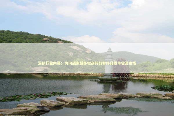 深扒行业内幕：为何越来越多微商转战奢侈品原单货源市场